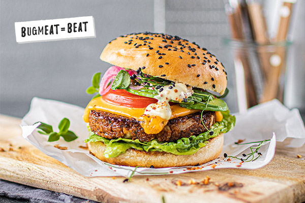 Nährwerttabelle des Insektenburgers